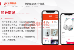 【2+1 链动】电商模式深度解析